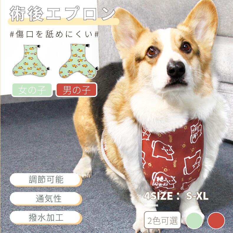 aprosio&coアプロジオ・大型犬ブローチ・未使用品 aprosio&co