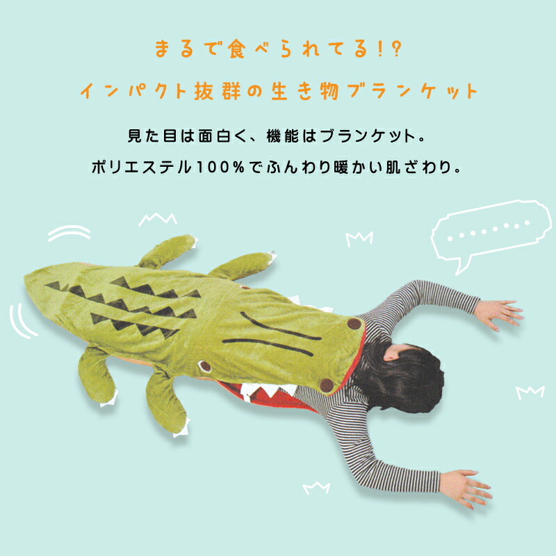 楽天市場】【2026年2月度 月間優良ショップ受賞】ジンベエザメ シャチ