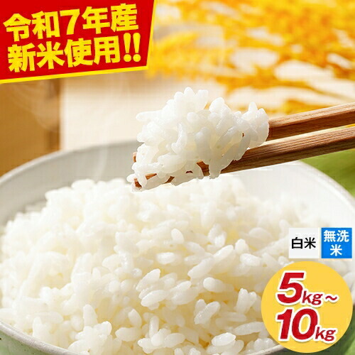 楽天市場】備蓄米 と 新米 のブレンド応援米 5kg 10kg 【 白米 / 無