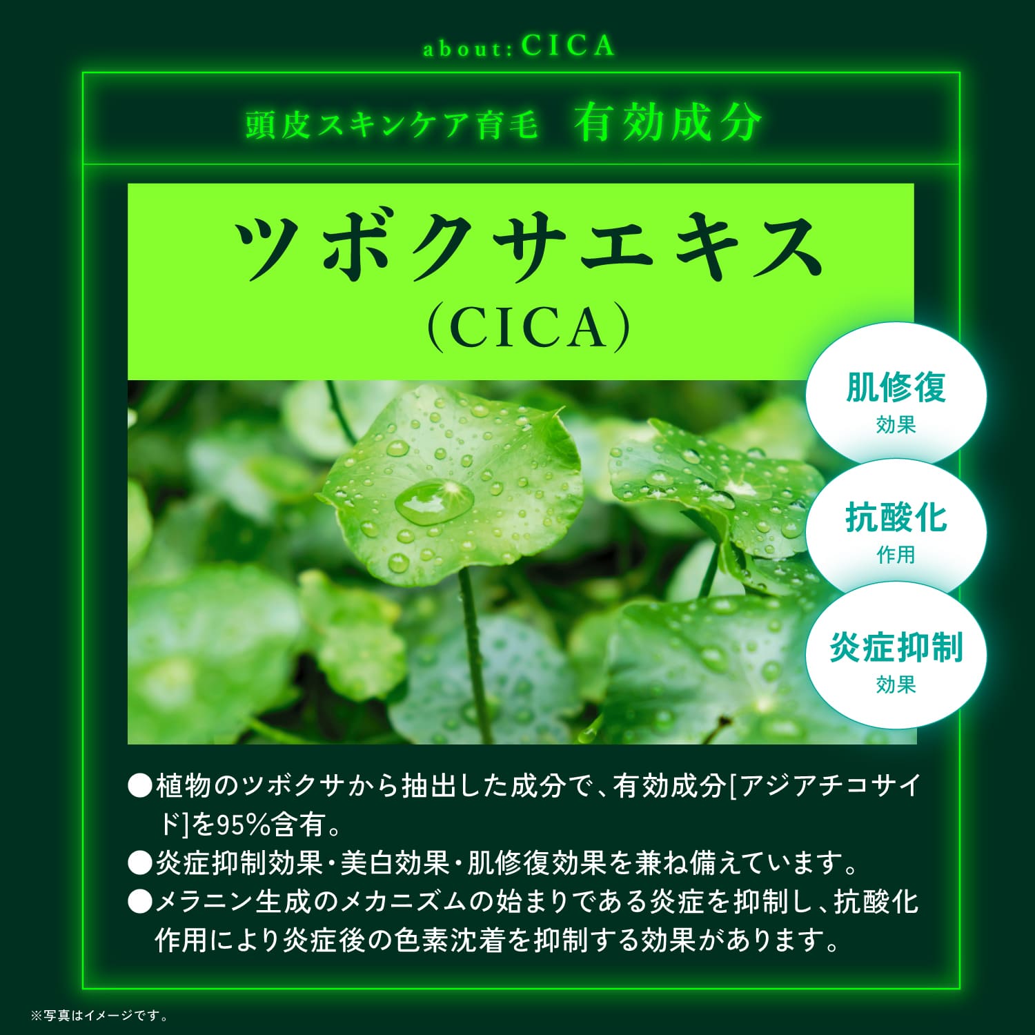 楽天市場】公式 【 KYOGOKU ネイチャーブースター＋シャンプー