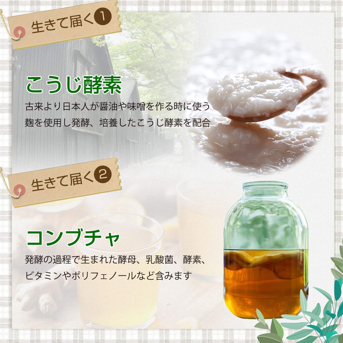 楽天市場】麹とコンブチャの生酵素 こうじ酵素 生酵素 コンブチャ 麹