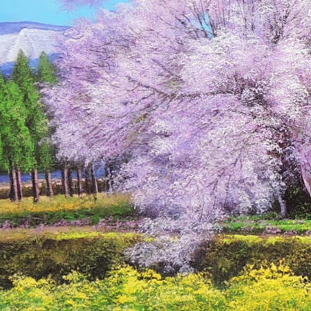 楽天市場】絵画 油絵 一心行の桜 F20号 （木村由記夫） 送料無料