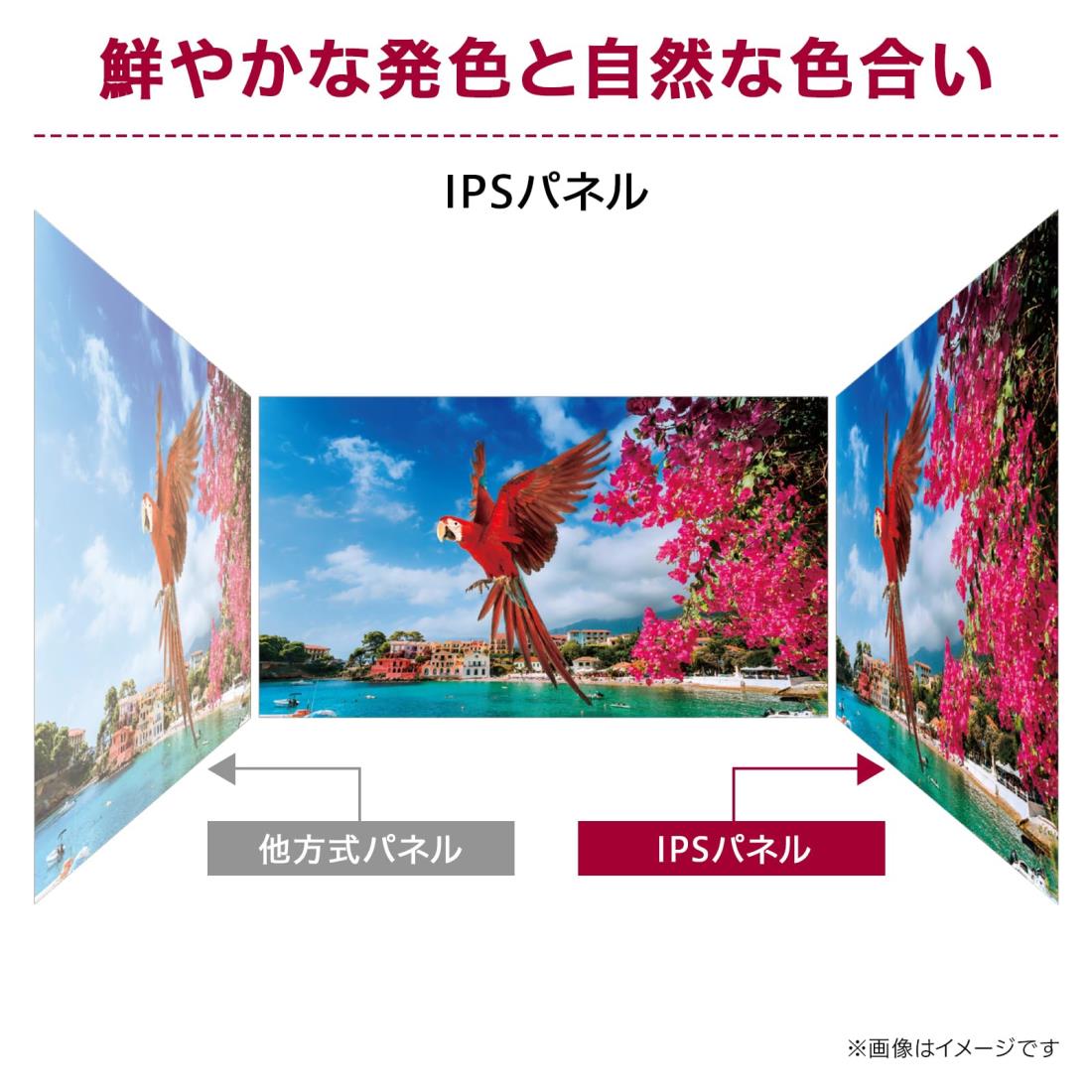 楽天市場】LG モニター ディスプレイ 平面 29WQ500-B 29インチ /作業