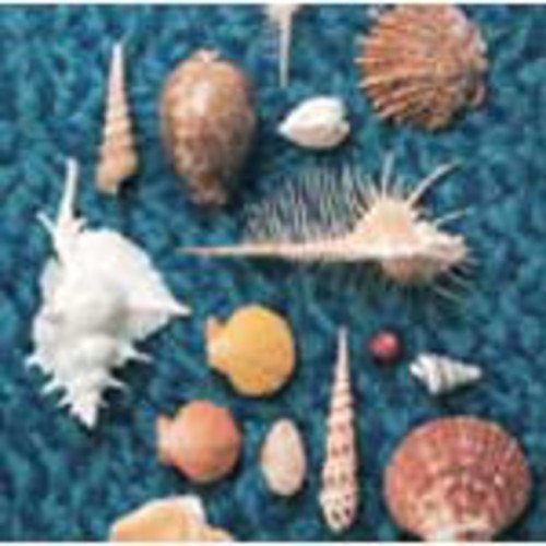 楽天市場】cycle hit 1991-1997 spitz complete single collectionの通販