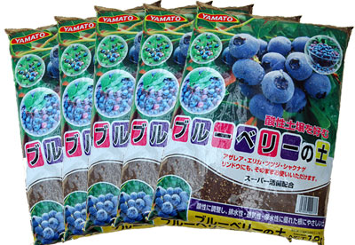 楽天市場】お得な 5袋セット ブルーベリーの土 12リットル 専用培養土