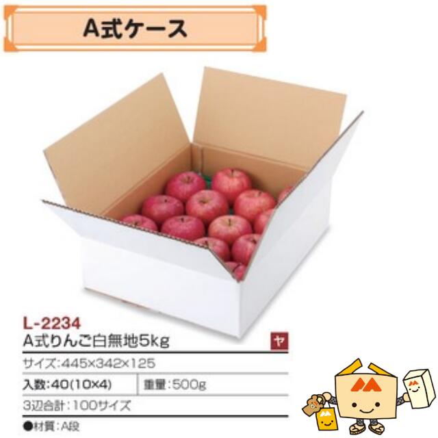 楽天市場】【個人宅不可】フルーツ りんご用 発送箱 A式りんご白無地