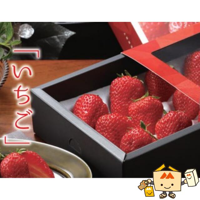 いちごおまとめセットテラヘルツマット2kg 300gカッサステック いちご