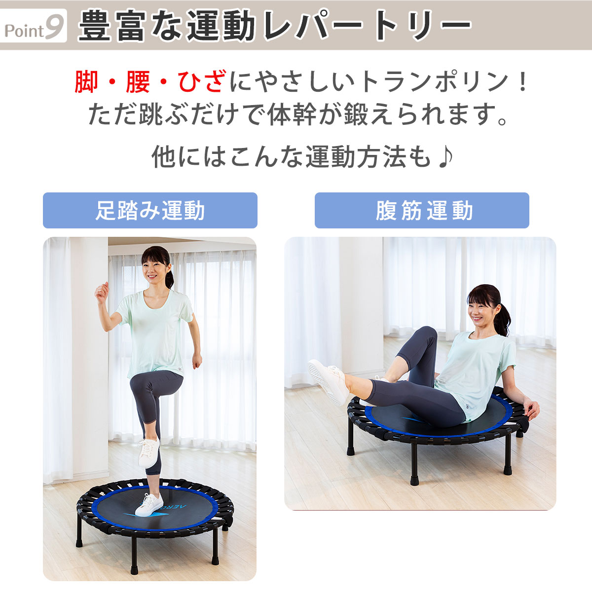 楽天市場】【公式店】 トランポリン 適応体重100kg 耐荷重500kg 日本