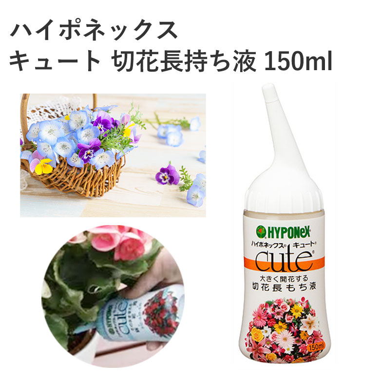 楽天市場】ハイポネックス キュート 切花長持ち液 150ml 切花栄養剤