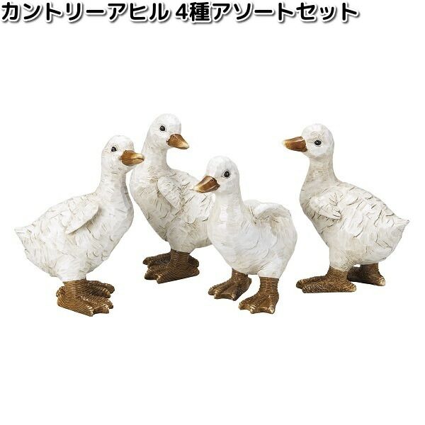 楽天市場】HH30495 カントリーアヒル 4種アソートセット 約8.5