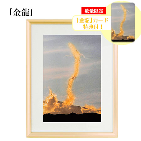 楽天市場】奇跡の写真 秋元隆良 「金龍」【金龍カード特典付！】代引き