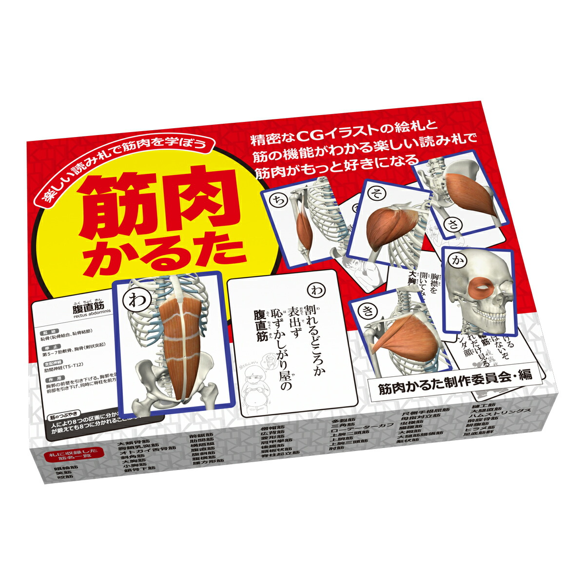 楽天市場】書籍 「オーチスのキネシオロジー 身体運動の力学と病態力学