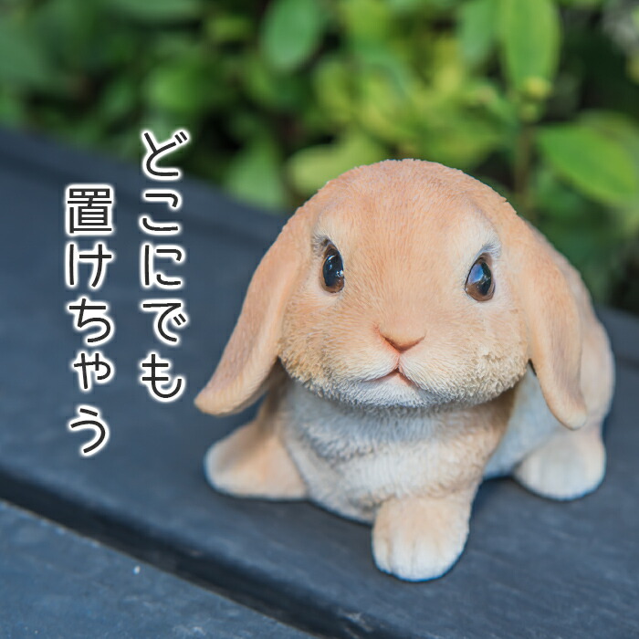 楽天市場】【スーパーセール 最大10%OFF 】小さなたれ耳うさぎ