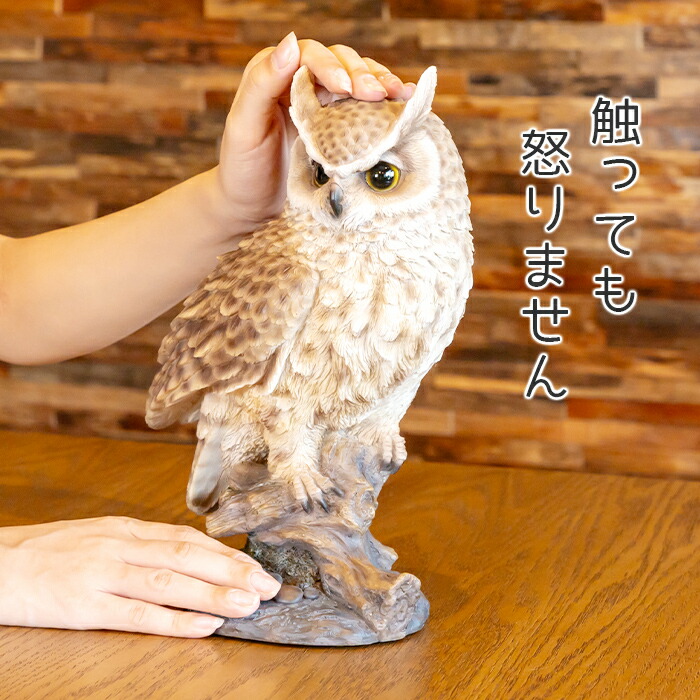 楽天市場】木に留まるミミズク《木菟（26.5cm）》〔 WOOBIA ウービア