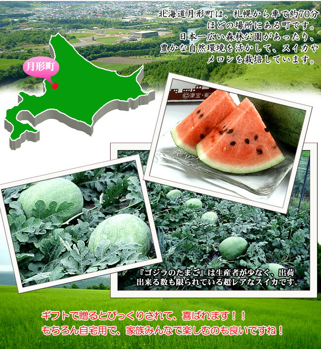 楽天市場】ゴジラのたまご秀品6kg以上×1玉【月形町特産楕円形スイカ