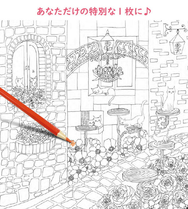 楽天市場】【特典あり】新装版 ぬりえセット《3セット》[ぬりえ 花 猫