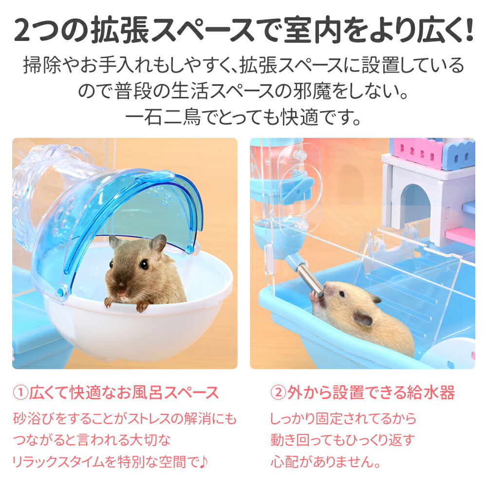 楽天市場】【半額&5%OFFクーポン配布3/1 利用条件あり】 ハムスター