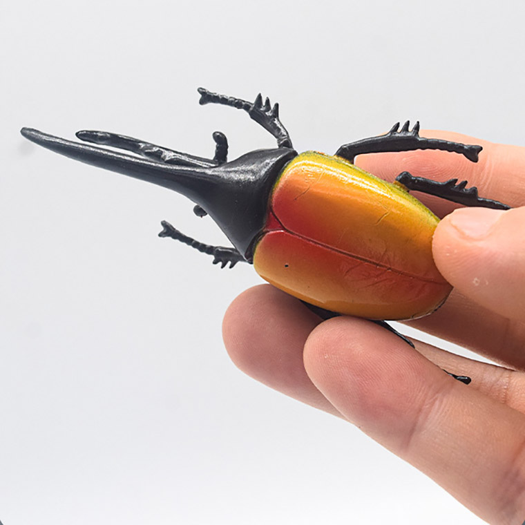 楽天市場】カブトムシ クワガタ 昆虫 セット 甲虫 ミニー リアル