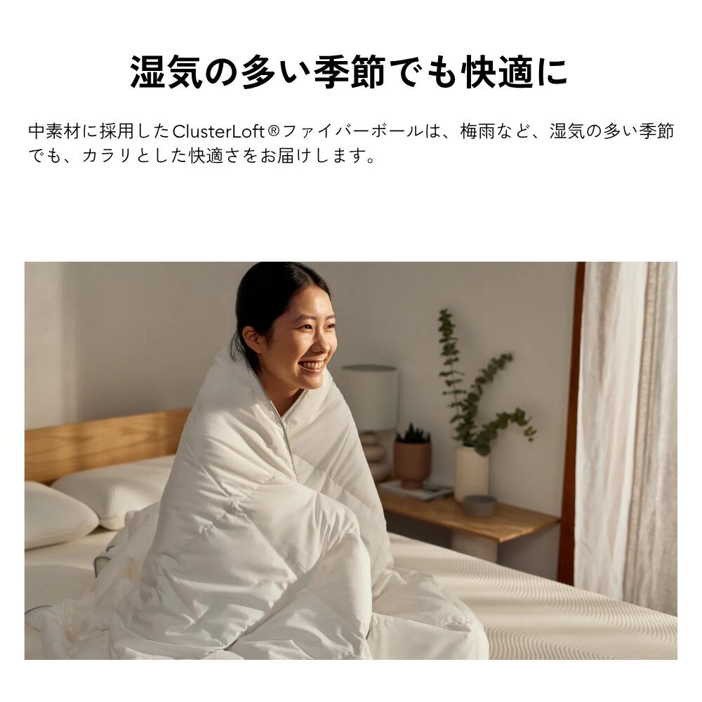 楽天市場】掛け布団 コアラウルトラライト掛け布団 シングル