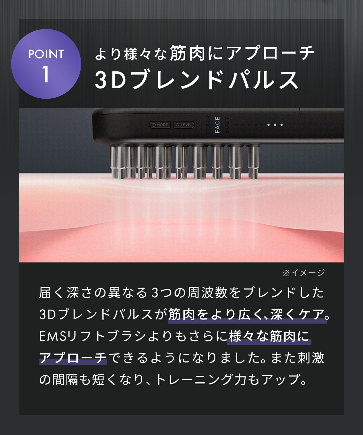 SALONIA EMSブラシ SAL24305BK SALONIA（サロニア） EMSリフトブラシ