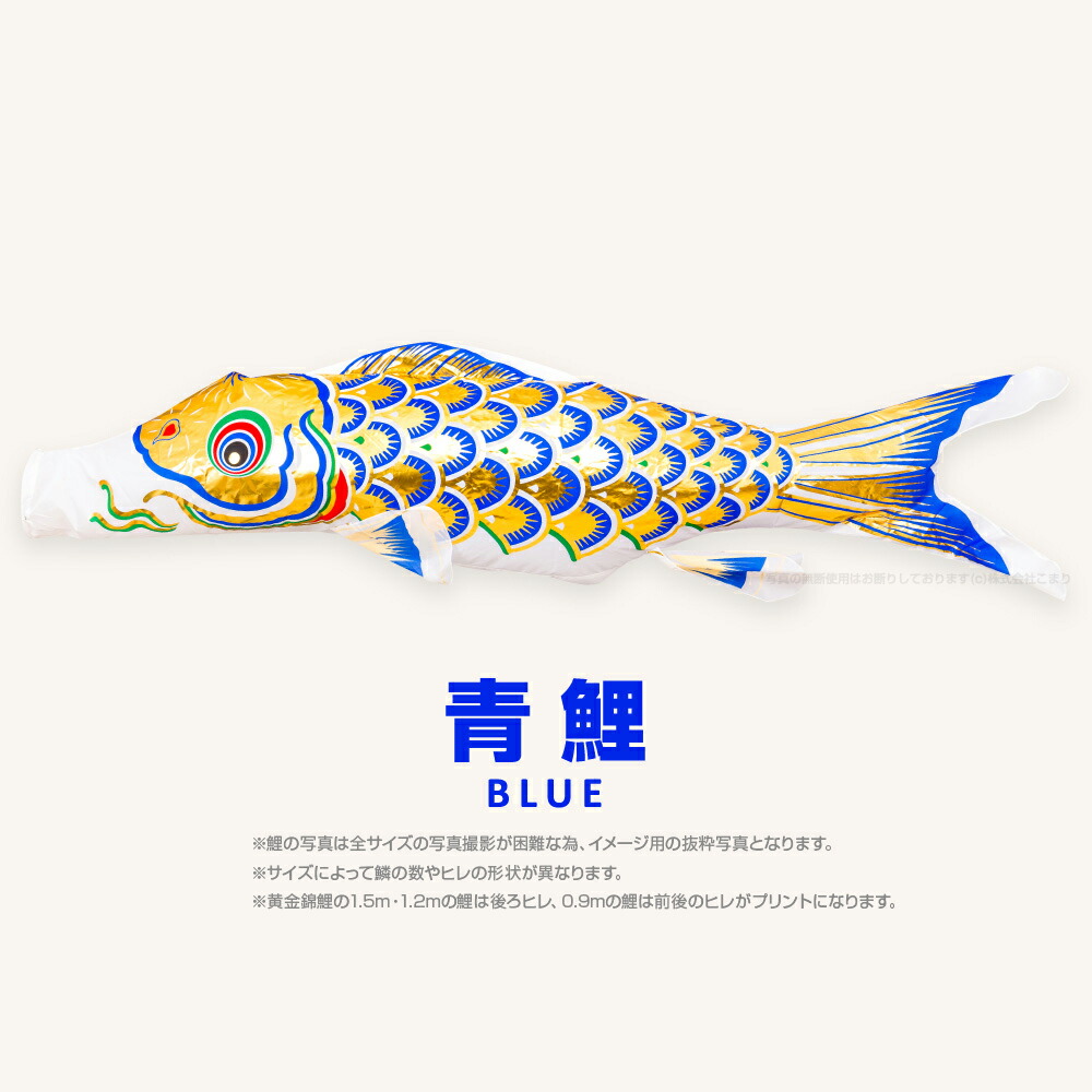 楽天市場】【2/26買回りでP最大4倍】 こいのぼり 単品 鯉のぼり 黄金