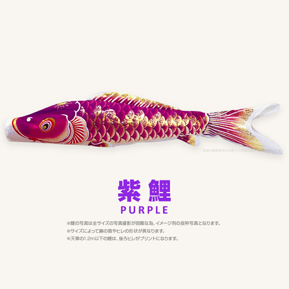 楽天市場】こいのぼり 単品 鯉のぼり 天華鯉 0.9m 単品鯉 : 節句