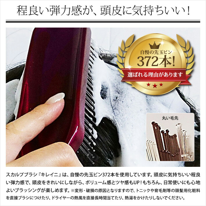 楽天市場】Prakriti(プラクリティ) スカルプブラシ キレイ二【全2種類