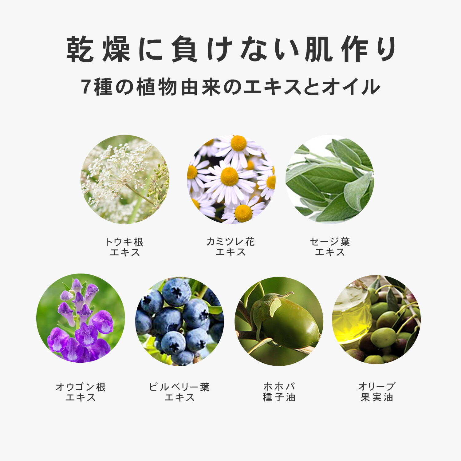 楽天市場】導入美容液 ブースター 炭酸美容液 先行美容液 泡 炭酸 泡の