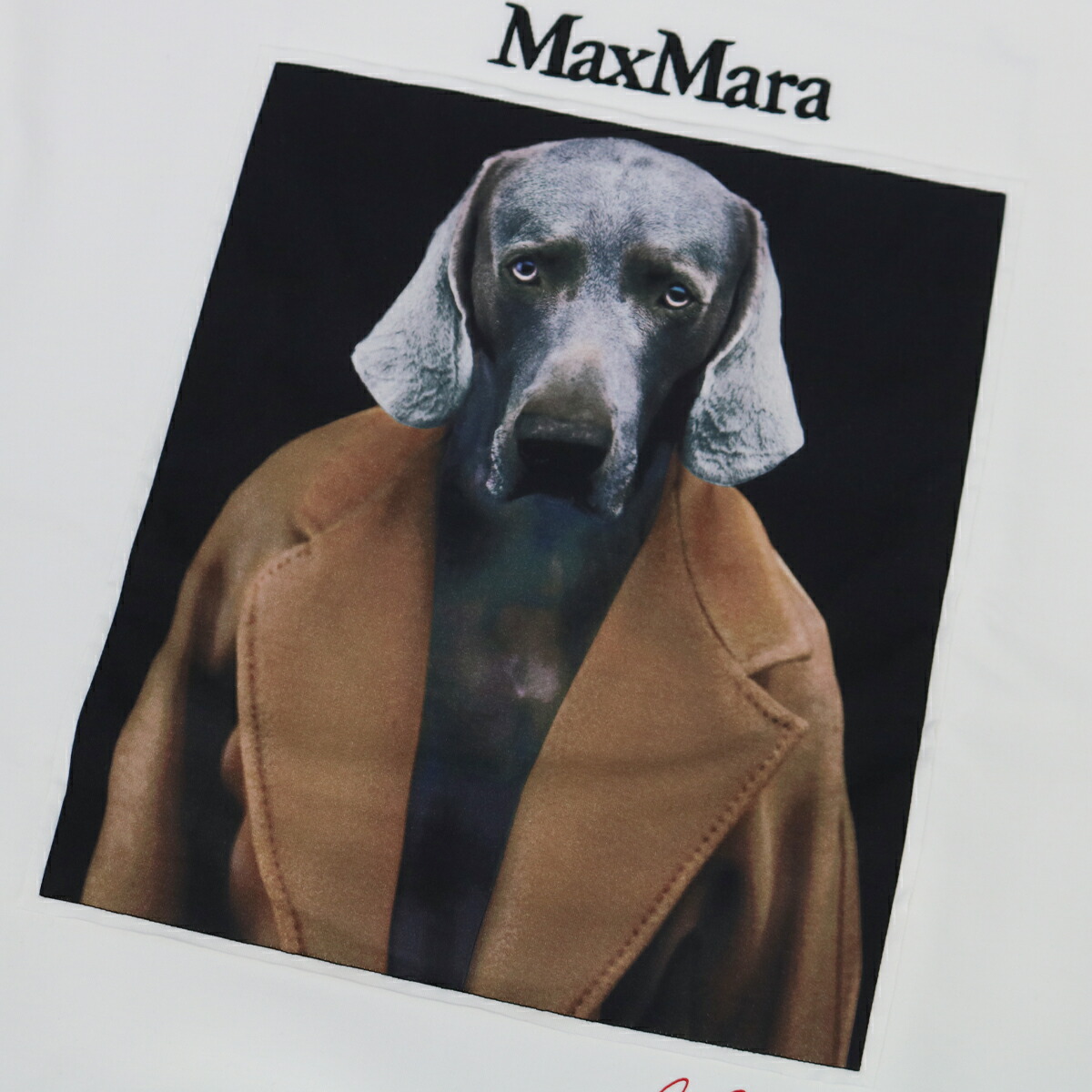楽天市場】□MAX MARA マックスマーラ BACCO SWEATSHIRT 2421926011