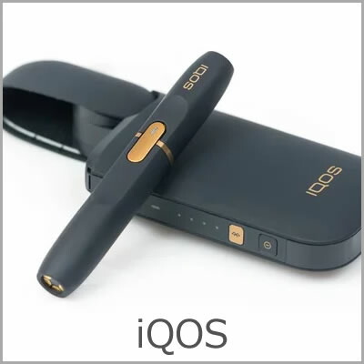 楽天市場】JVC Everio R GZ-R400-T [ライトブラウン] : らいぶshop