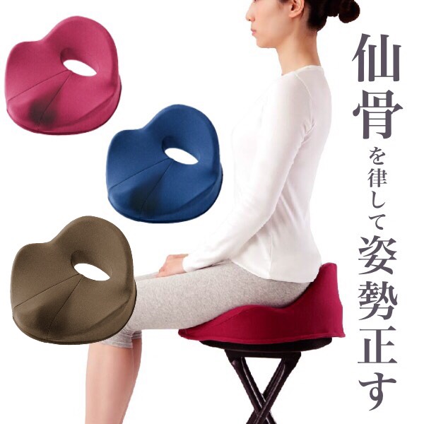 楽天市場】【送料無料】仙骨クッション 仙律 ネイビー/ルビー/ブラウン