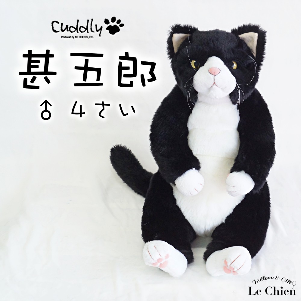 楽天市場】ぬいぐるみ 猫 リアル ハチワレ【タマ子】白黒 cuddly