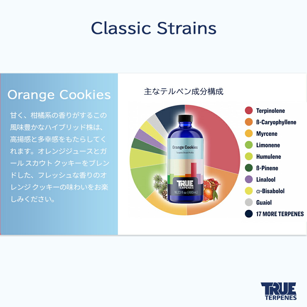楽天市場】＼即日発送／テルペン アメリカ TRUE TERPENES 『クラシック