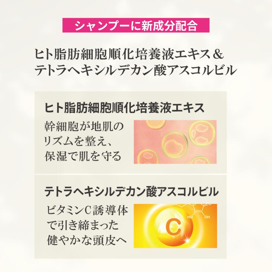 楽天市場】ゴクビプロ PREMIUM スカルプケア セット シャンプー2個