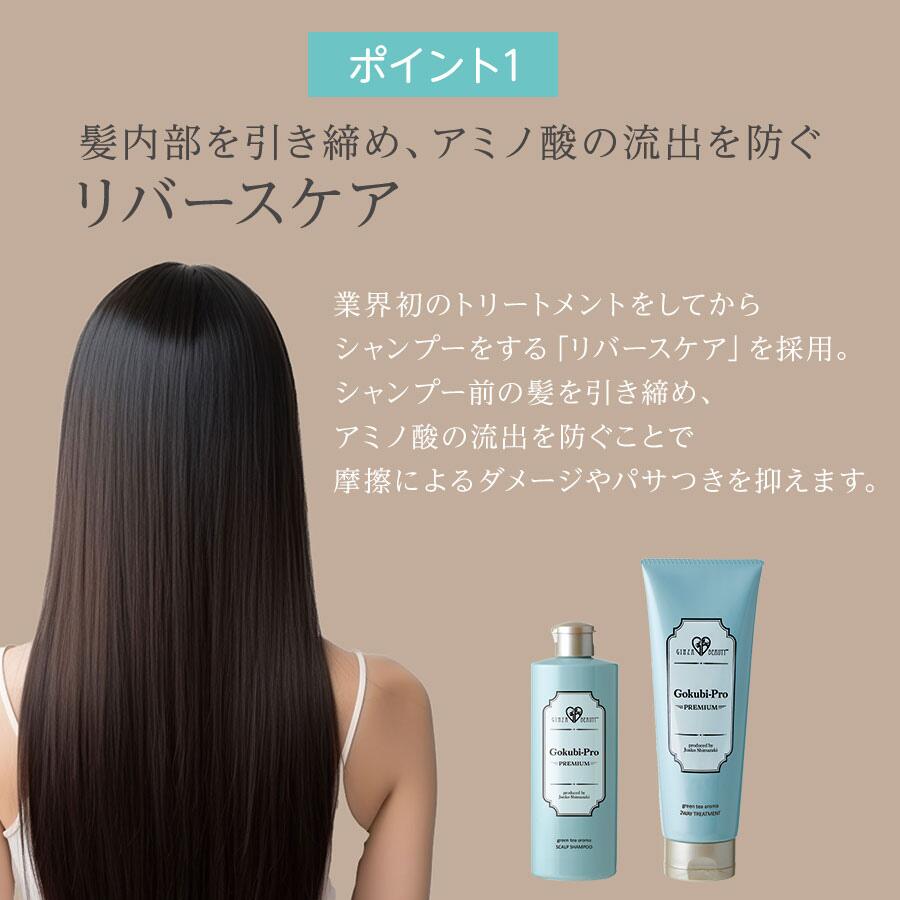 楽天市場】ゴクビプロ PREMIUM スカルプケア セット シャンプー2個