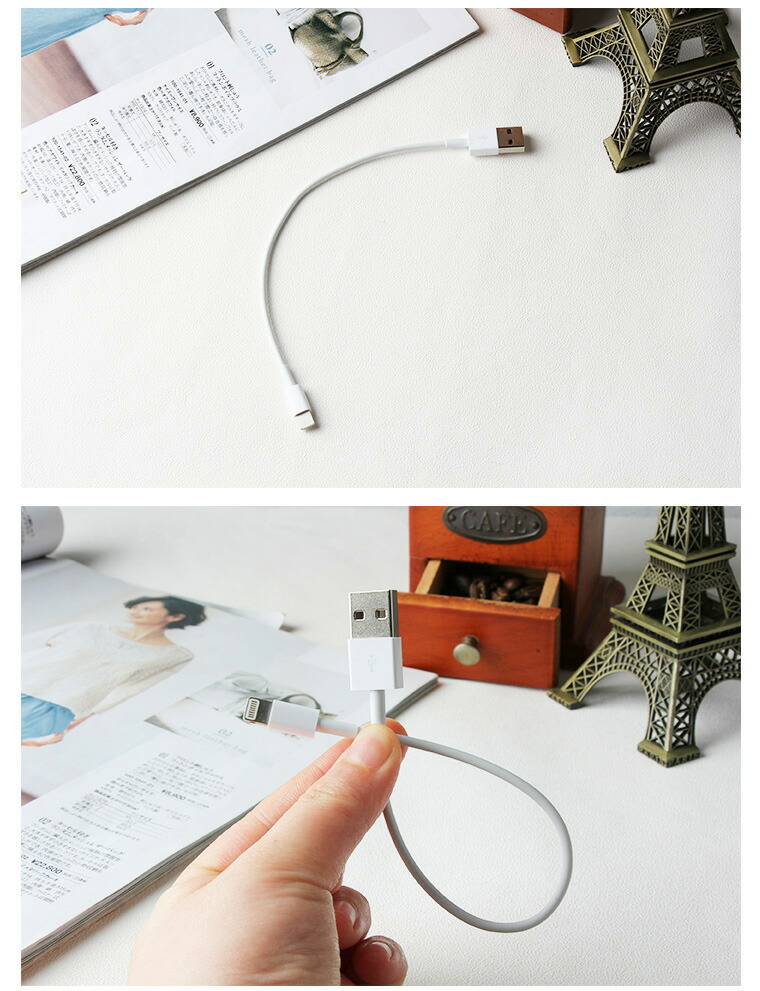 楽天市場】【2本セット】iPhone 13/13 Pro/13 Pro Max USB 充電