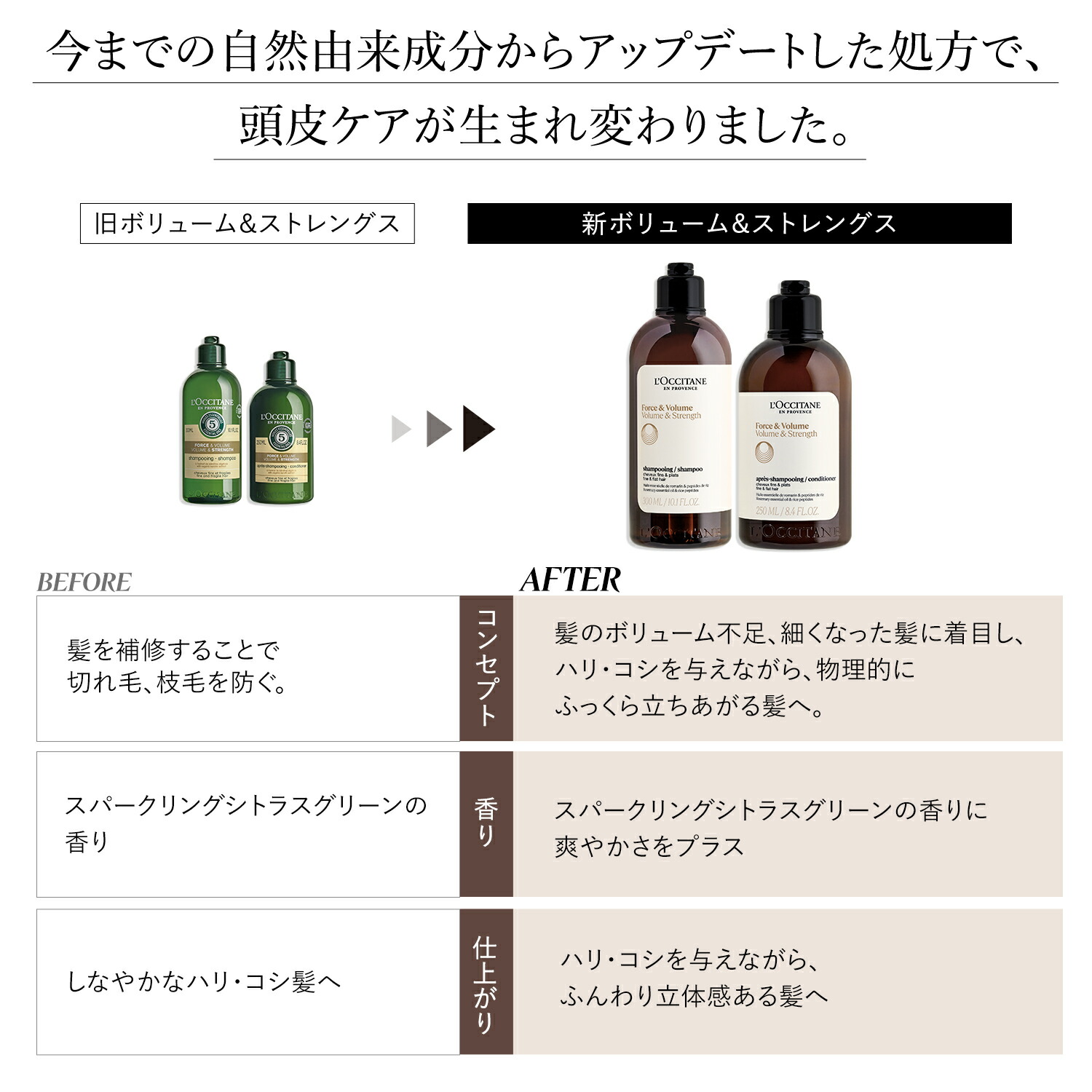 楽天市場】【公式】ロクシタン L'OCCITANE ボリューム＆ストレングス