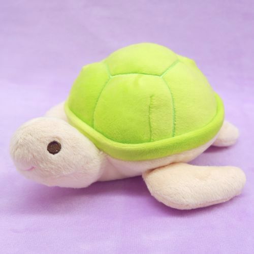 楽天市場】まったりくん カメ S サイズ:18cm かめ 亀 sea turtle