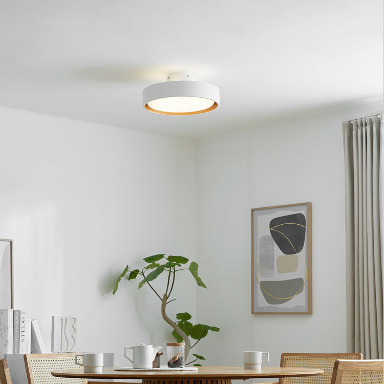 楽天市場】[楽天スーパーSALE! 3/4 20:00 - 3/11 1:59] シーリング