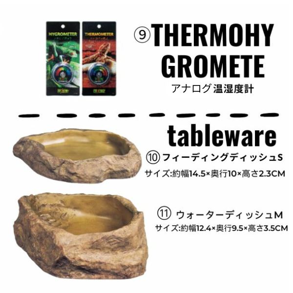 楽天市場】【初心者向け】フトアゴヒゲトカゲ＆リクガメ飼育セットA