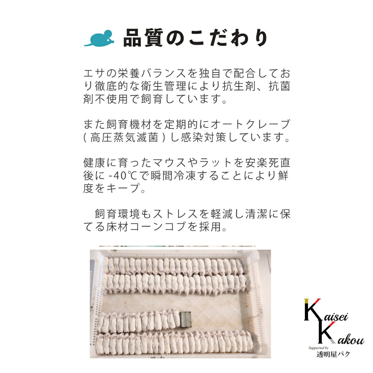 楽天市場】「リタイア 300匹(30袋) Biokimia 」 約10cm 40g+ 冷凍