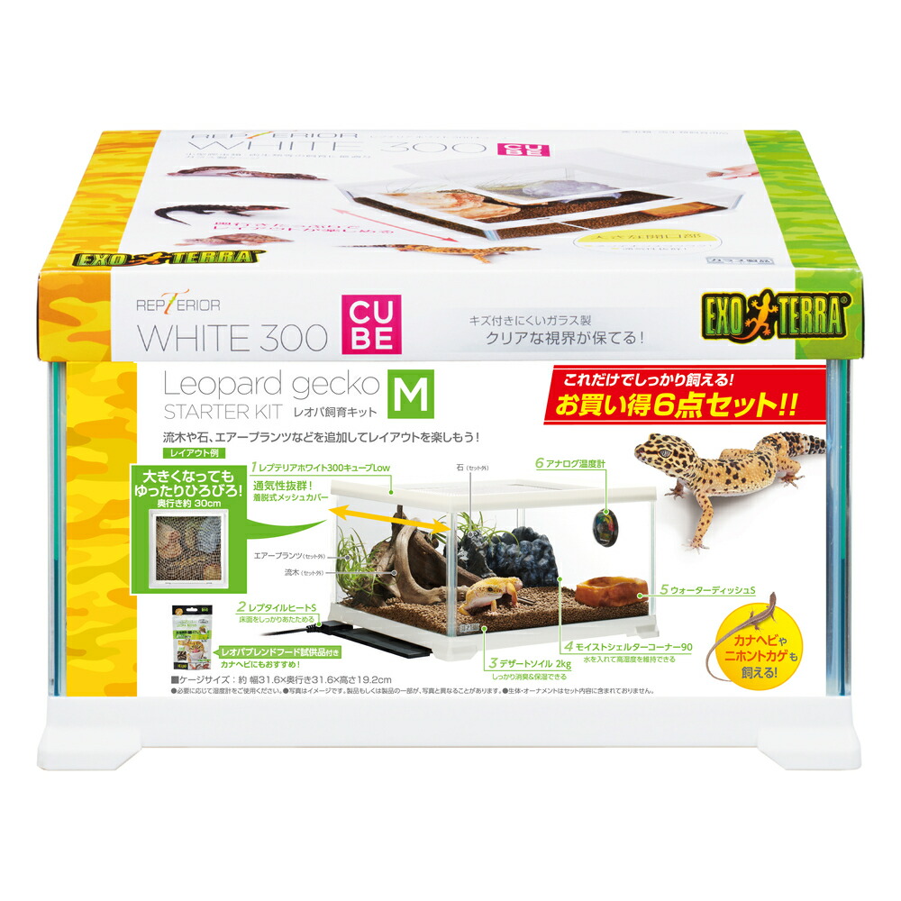 楽天市場】□ メーカー欠品【エキゾテラ】レオパ飼育キット M EXOTERRA