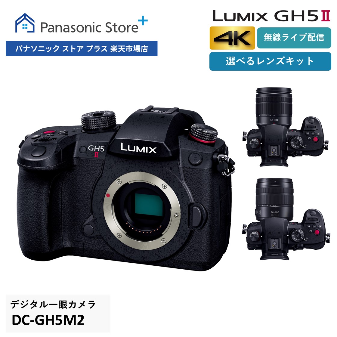 楽天市場】【公式店】パナソニック デジタル一眼カメラ LUMIX G