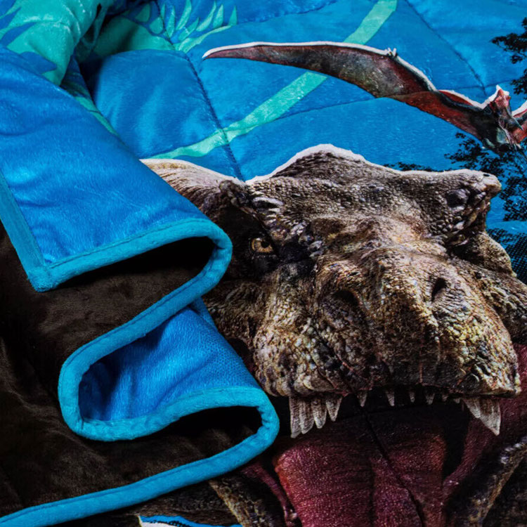 楽天市場】【2/25限定◇ポイント3倍】ジュラシック ワールド 掛け布団