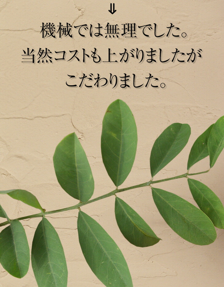 楽天市場】白髪染め 天然ヘナ ハーブ100g×5袋(500g)エムズハーブお得な