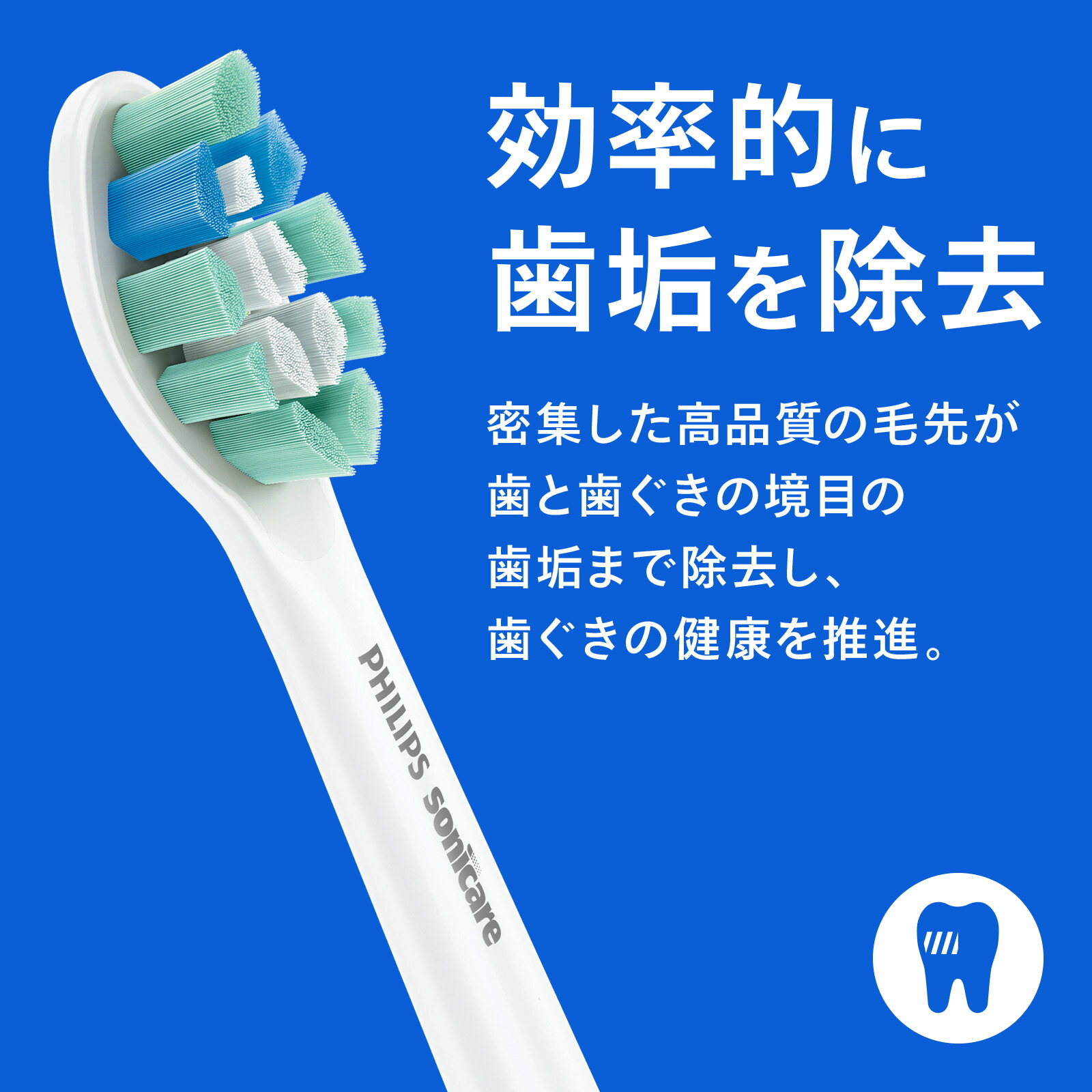 楽天市場】替えブラシ フィリップス ソニッケアー クリーンプラス