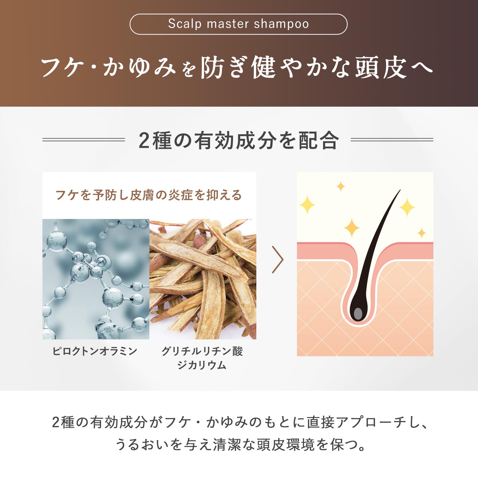 楽天市場】フエッタリッチ 薬用 スカルプ マスター シャンプー 美容室