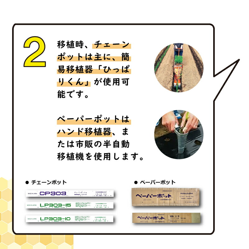 楽天市場】【100%ポイントバック エントリー＆抽選2/25まで】LP