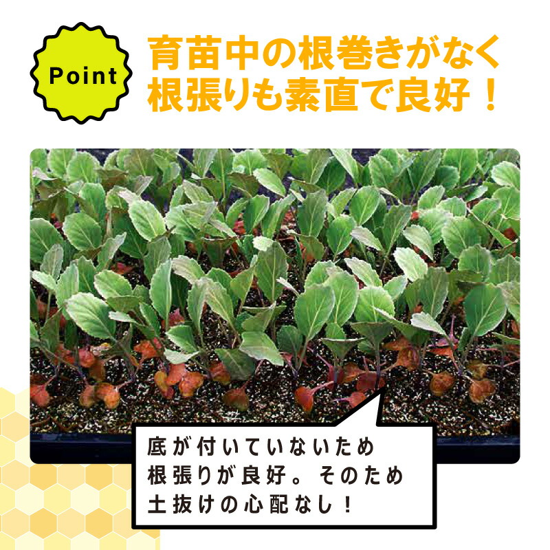 楽天市場】チェーンポット CP303 150冊 (個) 株間5cm 264鉢 播種