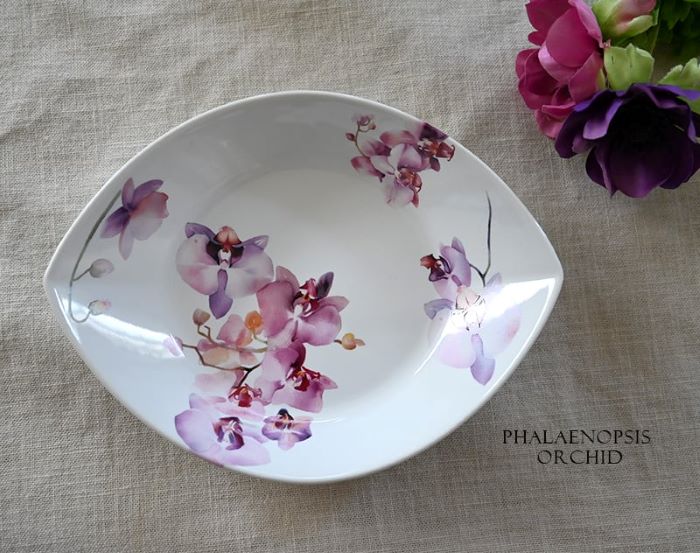 楽天市場】ポーセラーツ 転写紙 【白磁用】水彩ファレノプシス